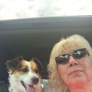 Meet your Posher, Punkin